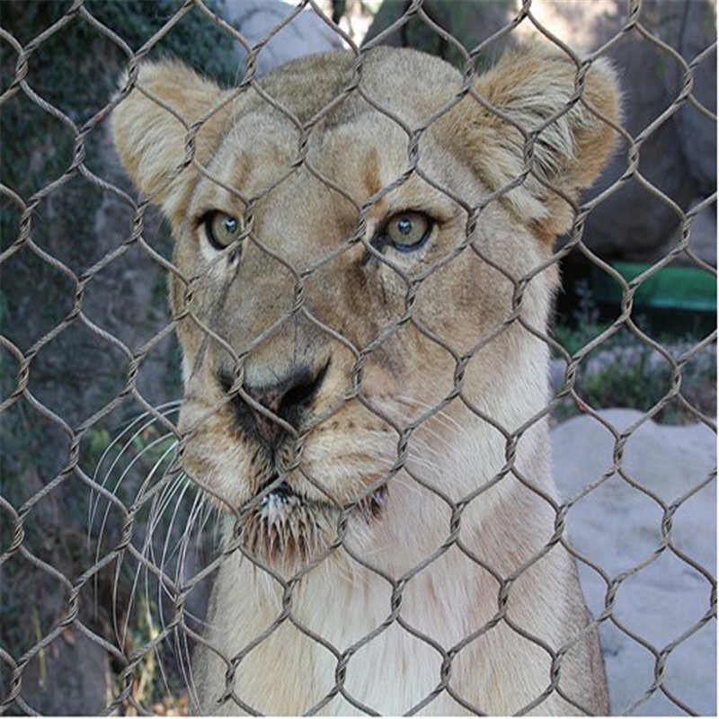 狮子用不锈钢绳网 运通.jpg