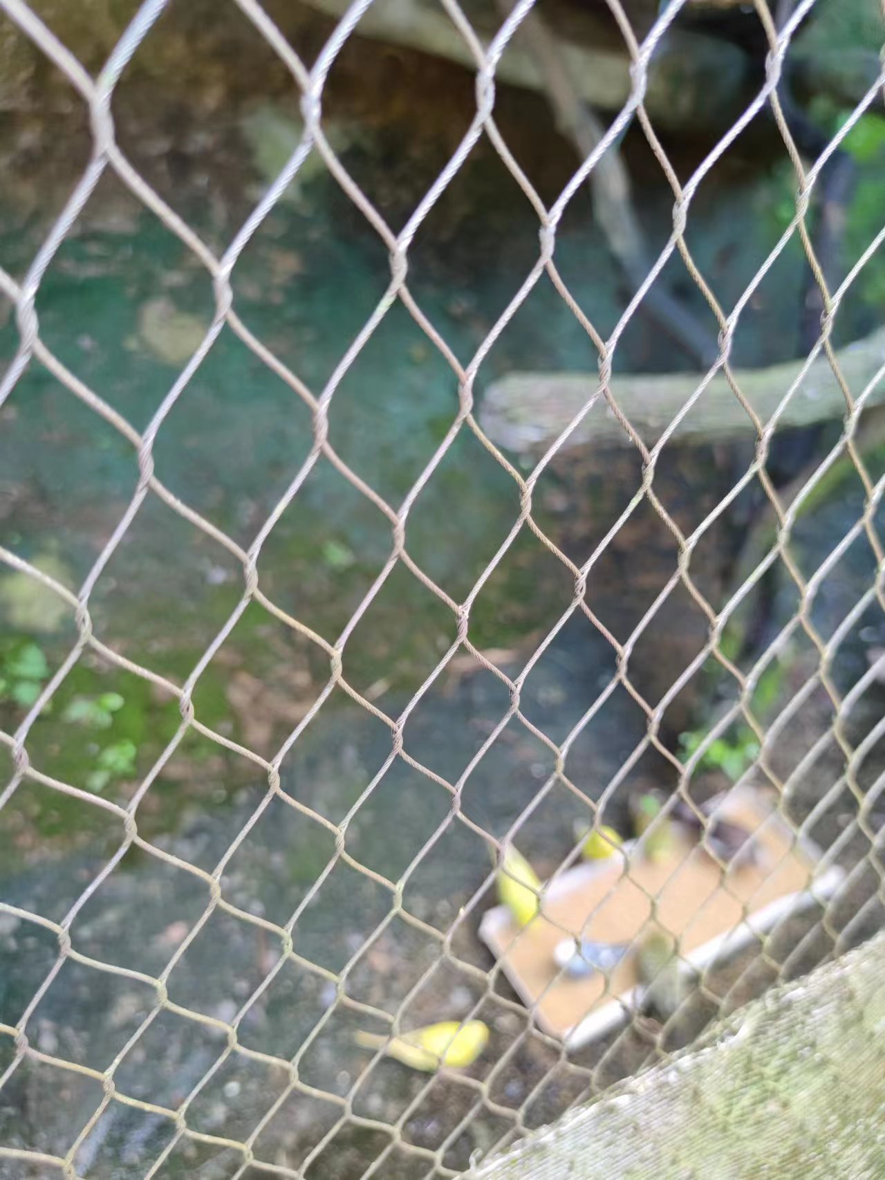 鸟语林不锈钢绳网围栏的编织方式 运通9.jpg